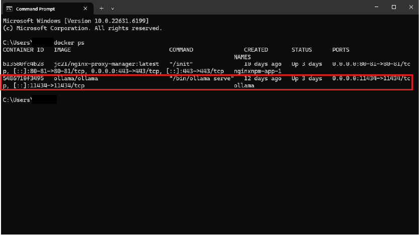 Image of Command Prompt showing results of the command "docker ps"